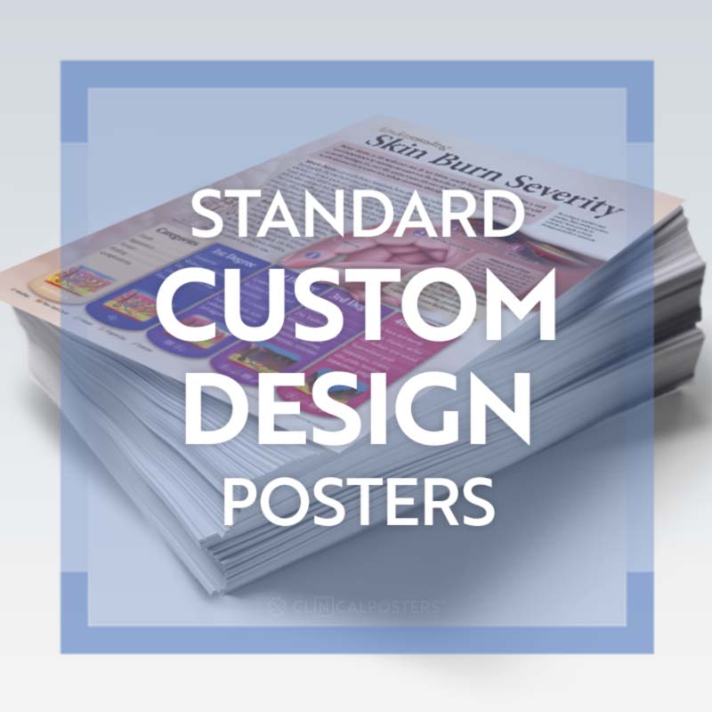 Custom Standard Anatomy Poster
