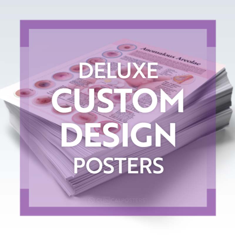 Custom Deluxe Anatomy Poster