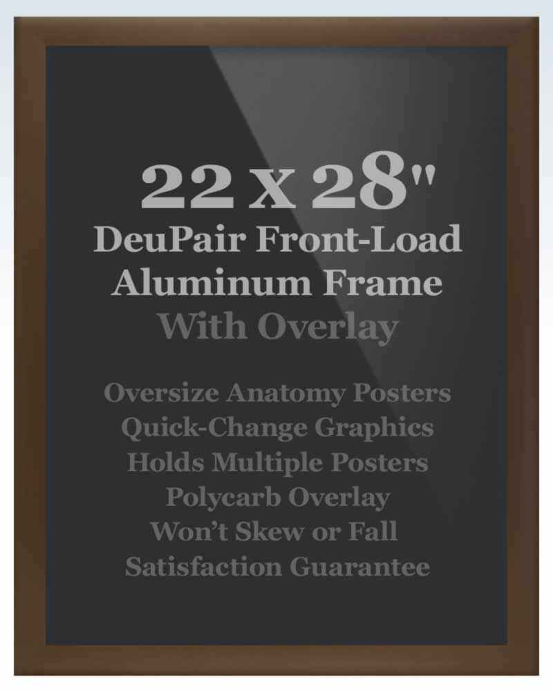 DeuPair Flip Frame Bronze Aluminum
