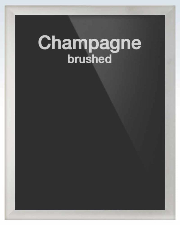 Champagne DeuPair Flip Frame