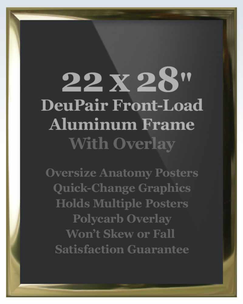 DeuPair Flip Frame Gold Aluminum