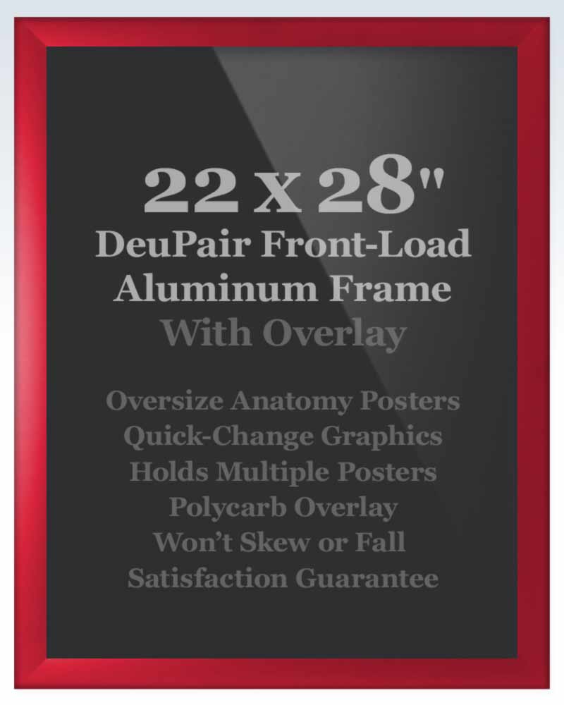 Red DeuPair Flip Frame Aluminum
