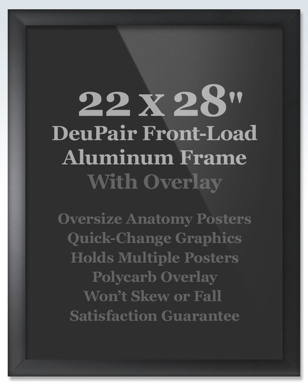 Oversize Black DeuPair Flip Frame
