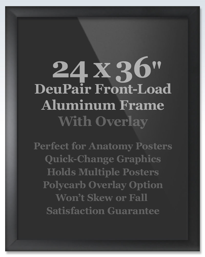 Large Black DeuPair Flip Frame 24x36