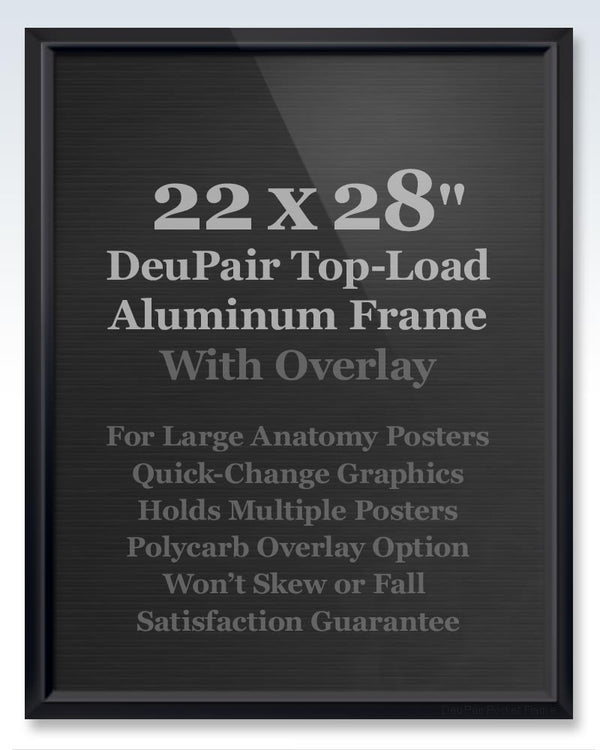 Oversize Black DeuPair Pocket Frame