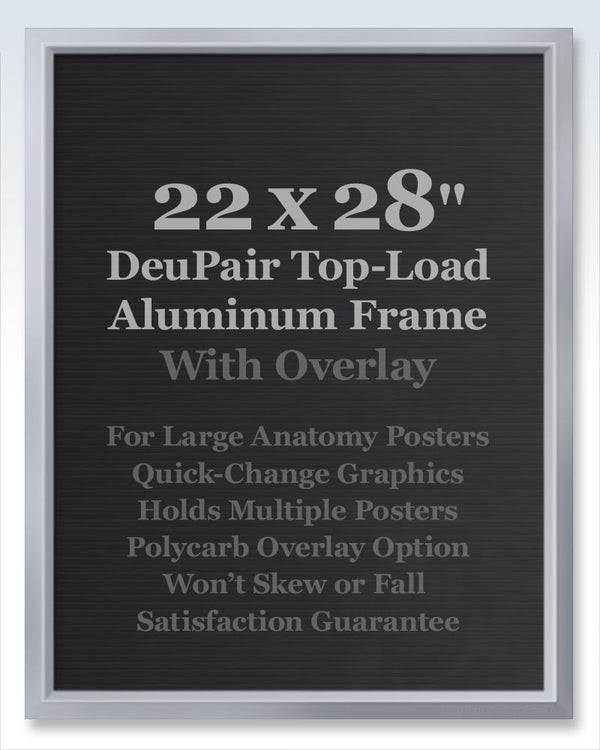 Oversize Silver DeuPair Pocket Frame