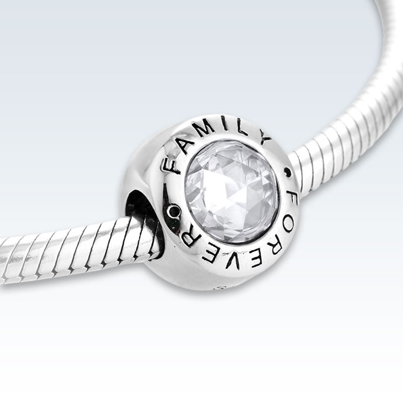 Sterling Silver Family Forever CZ Charm