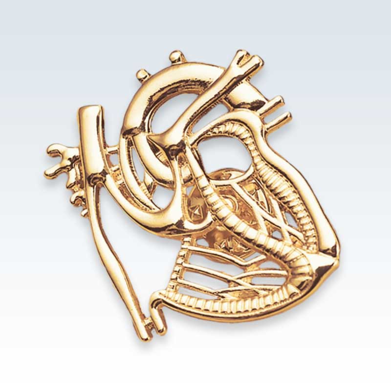 Gold Dissected Heart Lapel Pin