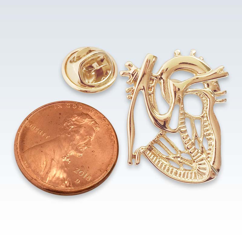 Gold Dissected Heart Lapel Pin Scale