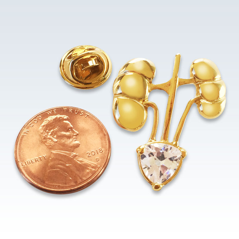Gold Kidneys Lapel Pin Size