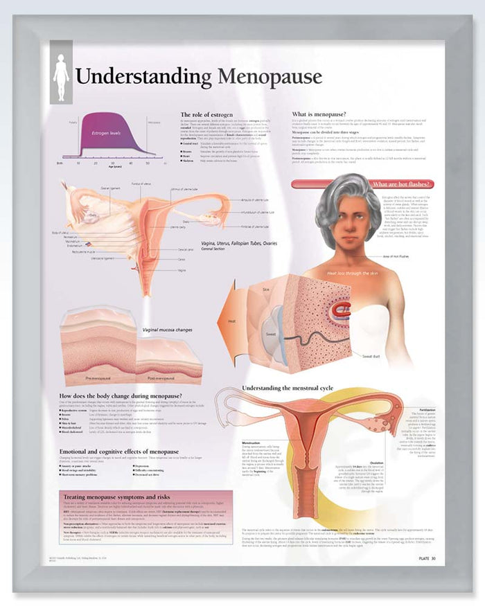Menopause Exam-Room Anatomy Posters | ClinicalPosters