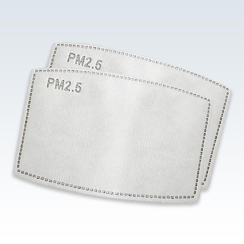 PM 2.5 Carbon Filter Pair