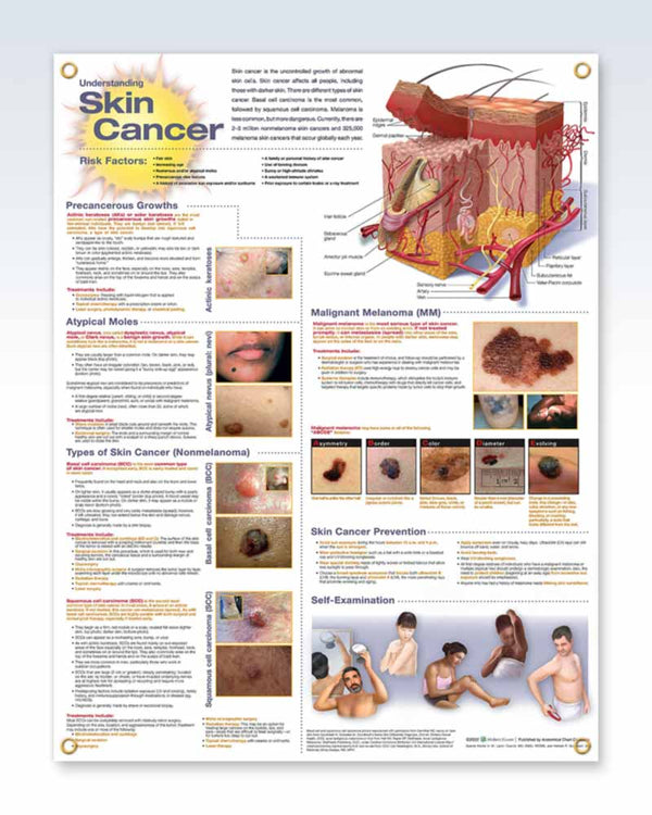 Dermatologists Medical Anatomy Posters | ClinicalPosters