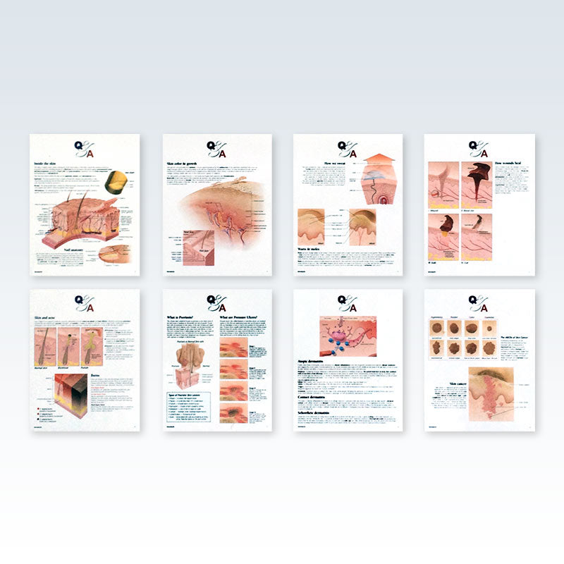 Understanding Skin Flip Chart Pages