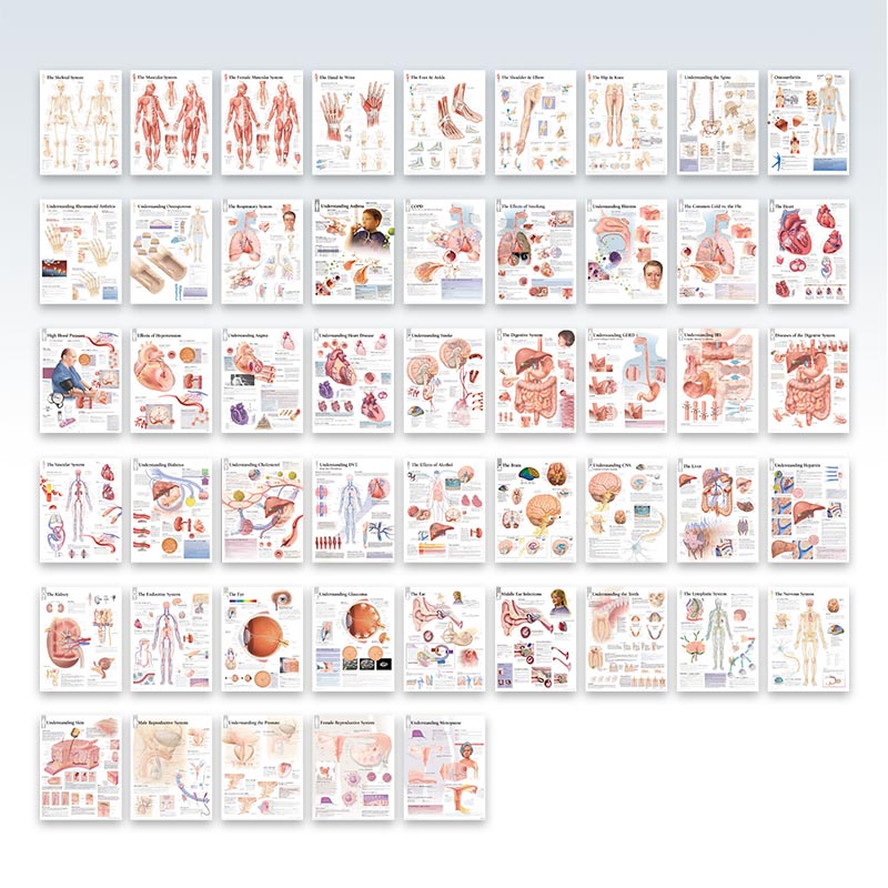 Complete Portfolio of Human Anatomy and Pathology Pages