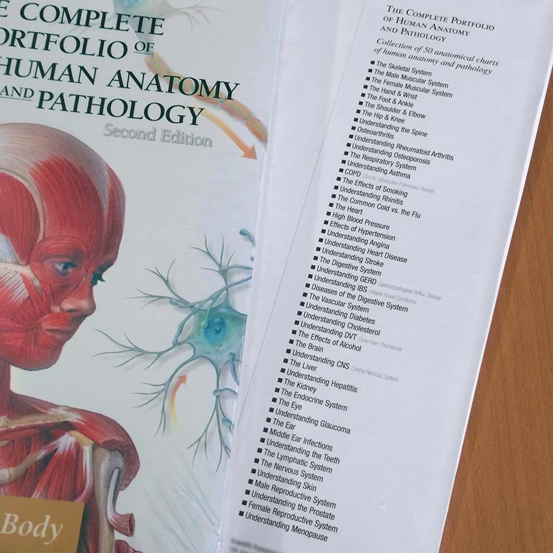 Portfolio of Human Anatomy and Pathology contents