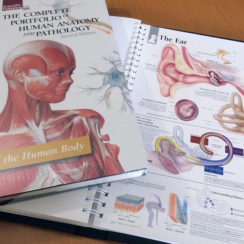 Complete Portfolio Of Human Anatomy And Pathology EBook