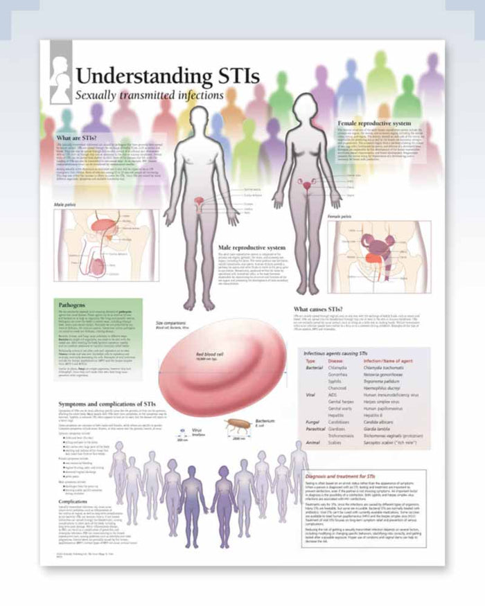 Obstetrics and Gynecology Medical Anatomy Posters | ClinicalPosters