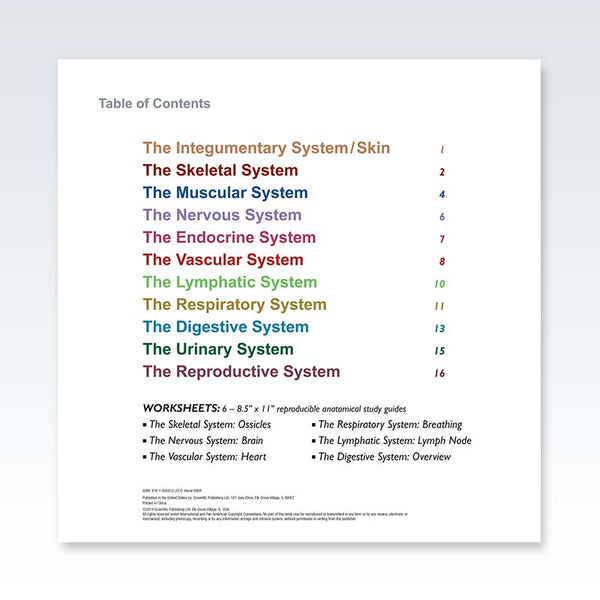Body Systems Pyramid Systems of the Human Body Spiral Flip Chart | ClinicalPosters