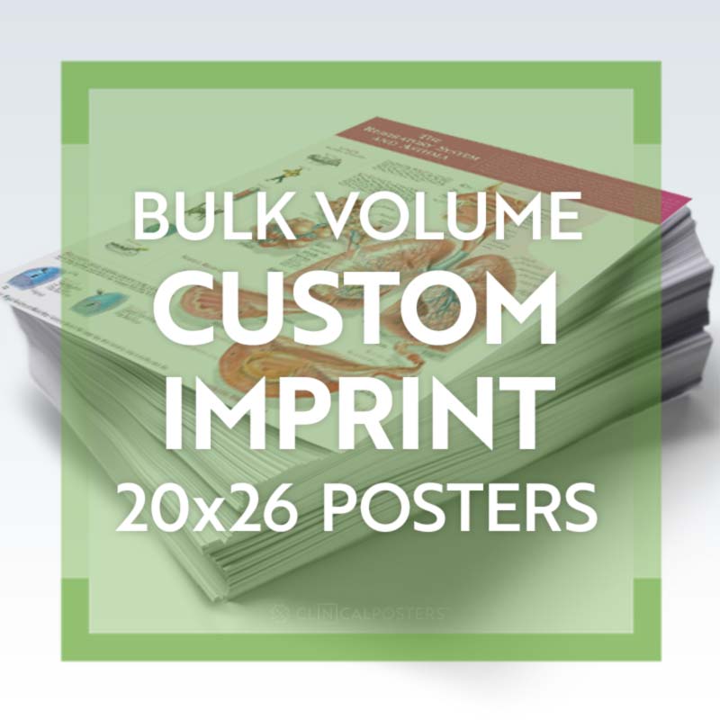 Imprint Bulk Printing 20x26
